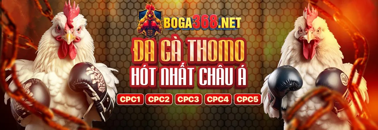Trò chơi sòng bạc trực tuyến 555win